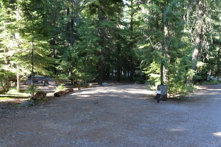 Camping in Washingtons Kachess Campground.
